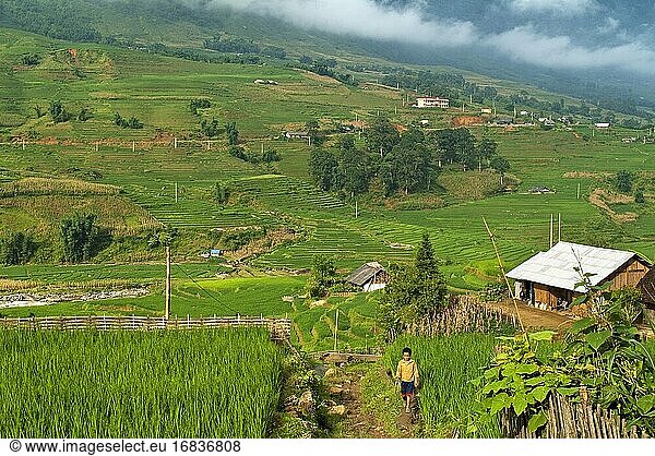 Sonnenuntergang in den Reisterrassen in der Nähe des Dorfes Lao Chai. Wanderung von Sapa nach Lao Chai. Vietnam.