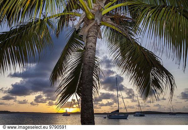 Sonnenuntergang in der Nonsuch Bay  Green Island  Antigua  Antigua und Barbuda  Nordamerika