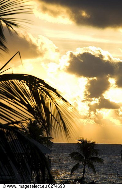 Sonnenuntergang  Key West  Florida  Vereinigte Staaten von Amerika  Nordamerika