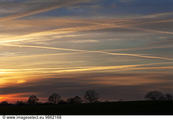 Sonnenuntergang mit Kondensstreifen am Himmel  Bäume als Silhouette  Mecklenburg-Vorpommern  Deutschland  Europa