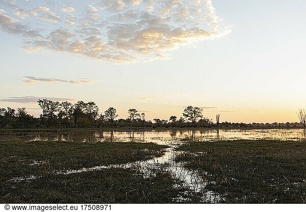Sonnenuntergang  Okavango-Delta  Botswana