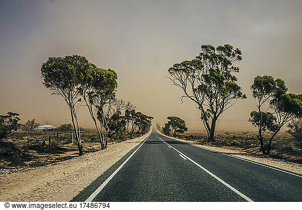 Sonnige  abgelegene  von Bäumen gesäumte Straße im australischen Busch