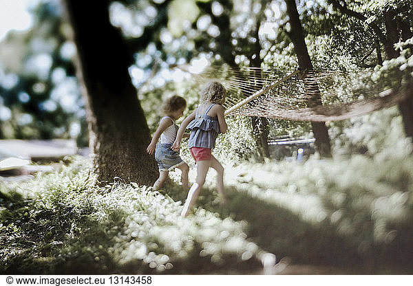 Sorgenfreie Schwestern spielen im Wald