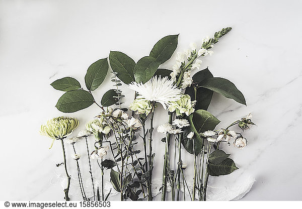 Sorte von weißen Blumen und Grünzeug auf weißer Oberfläche