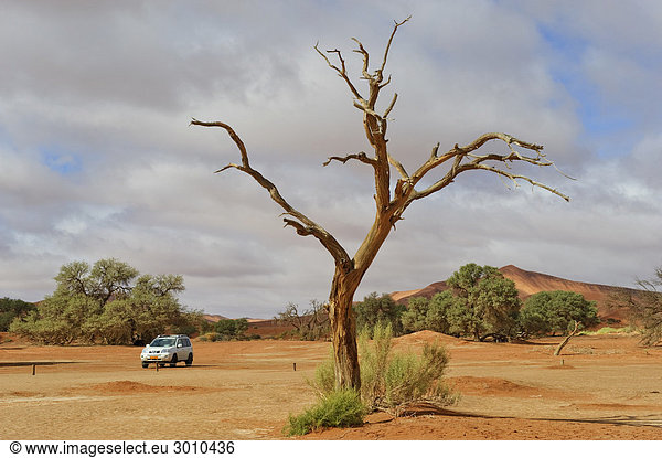 Sossusvlei in der Namib Namibia Afrika