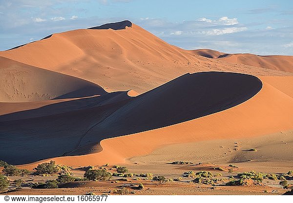 Sossusvlei   Namib-Naukluft-Nationalpark   Namibia.