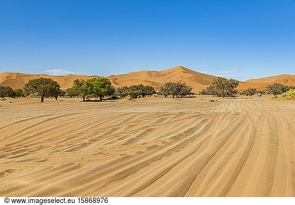 Sossusvlei  Namib-Wüste  Namib-Naukluft-Nationalpark; Namibia