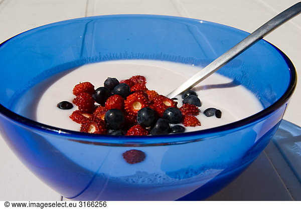 Soured milk and berries Sweden.