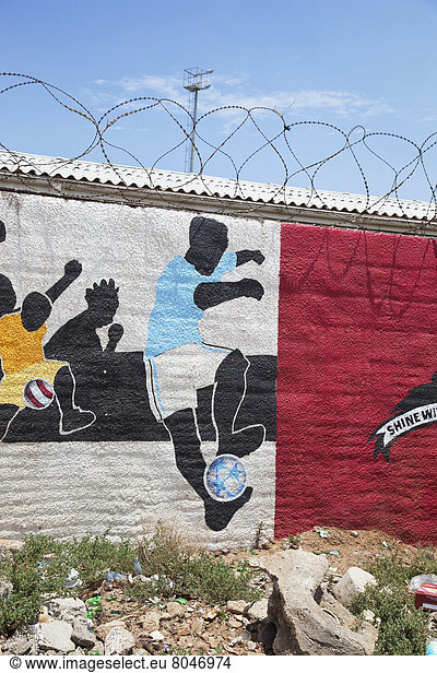 South Africa  Garden Route  Port Elizabeth  Football themed murals on walls  New Brighton