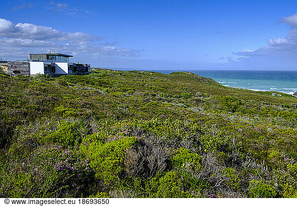 South Africa  Western Cape Province  Green coastal landscape of De Hoop Nature Reserve
