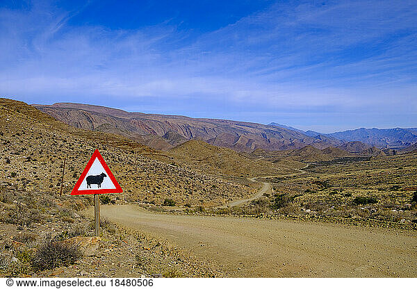 South Africa  Western Cape Province  Sheep crossing sign beside empty dirt road in Great Karoo