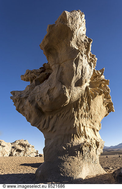 South America  Bolißia  Atacama Desert  Altiplano  Siloli Desert  rock formation Arbol de Piedra