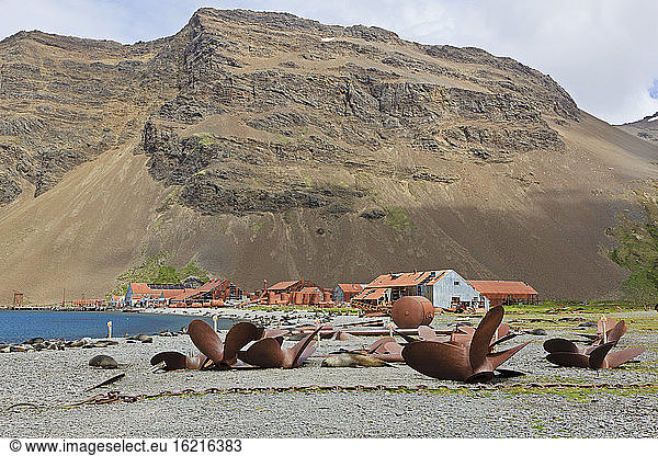 South Atlantic Ocean  United Kingdom  British Overseas Territories  South Georgia  Stromness  Propellers near former whaling station