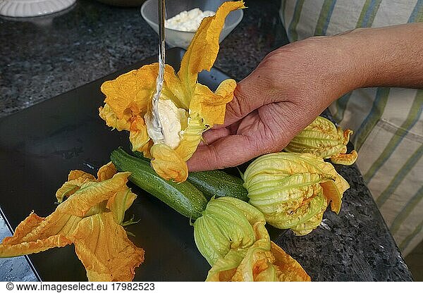 Southern German cuisine  preparation filled courgette flowers  filling courgette flowers with cream cheese  teaspoon  vegetarian  healthy cuisine  cooking  vegetables  men's hands  Germany  Europe