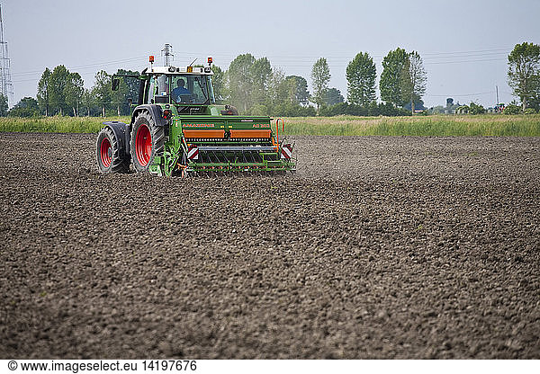 sowing  la semina presso un campo del Dominio di Bagnoli  Bagnoli  Padova  Veneto  Italy  Europe