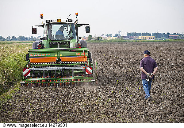 sowing  la semina presso un campo del Dominio di Bagnoli  Bagnoli  Padova  Veneto  Italy  Europe