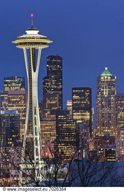 Space Needle and Downtown Seattle Skyline