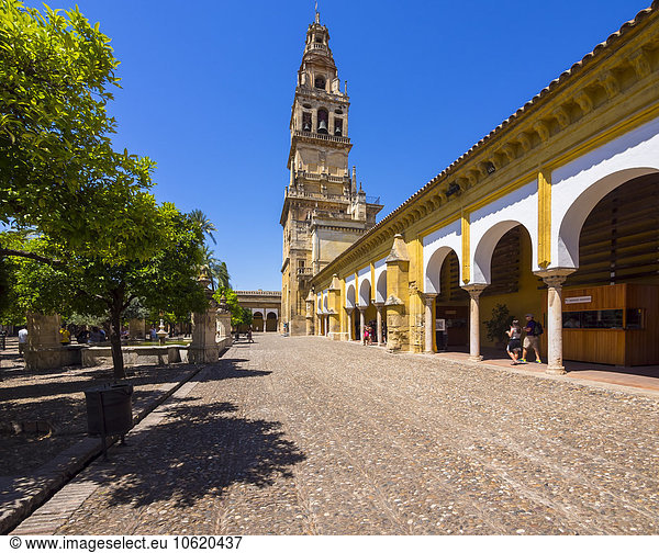 Spain  Andakusia  Cordoba  Bell tower and cloister of the Mezquita-Catedral