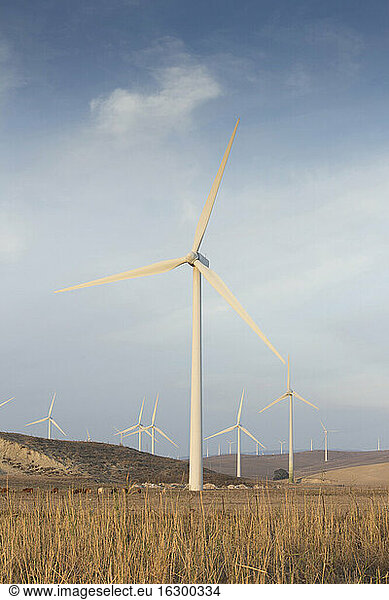 Spain  Andalusia  Cadiz  wind turbines standing on a field