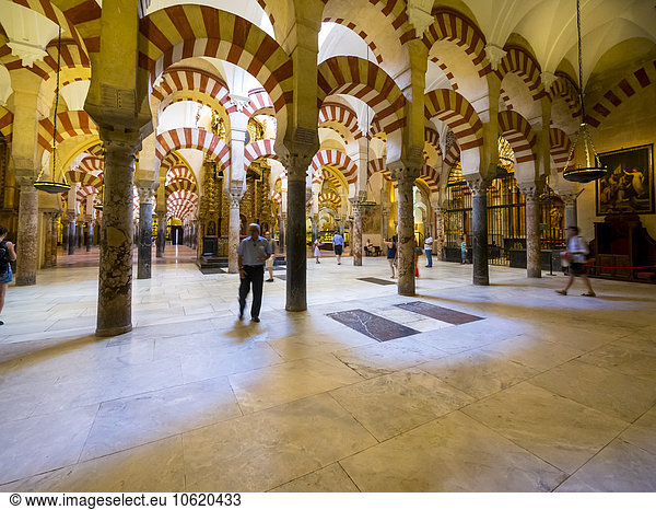 Spain  Andalusia  Cordoba  Mosque-Cathedral  columned hall