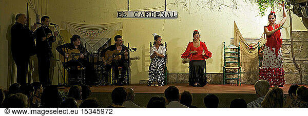 Spain  Andalusia  Cordoba  Tablao Cardenal  Flamenco