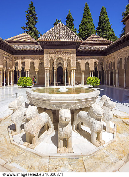 Spain  Andalusia  Granada  Alhambra  Patio de los Leones
