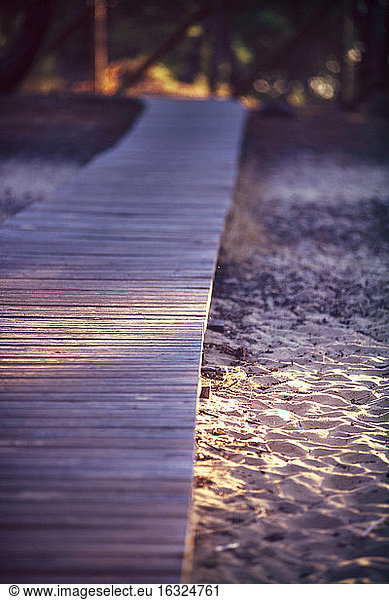 Spain  Andalusia  Huelva  wooden boardwalk through nature park at evening light