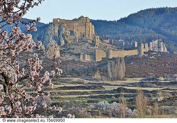 Spain  Aragon  Huesca  Loarre  view of the castle at sunrise
