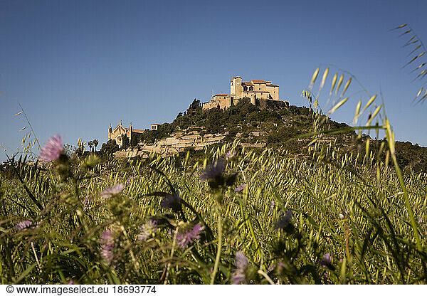 Spain  Balearic Islands  Arta  Almudaina DArta fort with wildflowers in foreground