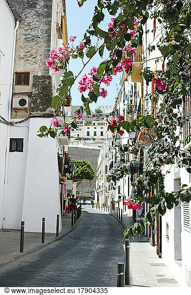 Spain  Balearic Islands  Ibiza  Town alley in summer