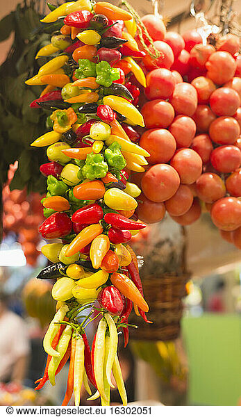 Spain  Balearic Islands  Majorca  Palma  vegetable market  tomatoes and paprikas