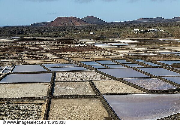 Spain  Canary Islands  Lanzarote Island  South-West Coast  las salinas de Janubio (salines de Janubio)