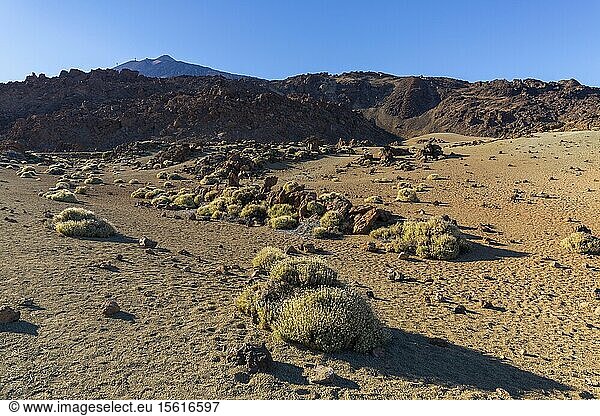 Spain Canary Islands Tenerife island Parque Nacional del Teide (Teide National Park) listed as World Heritage by UNESCO vegetation and rocks down to the Teide volcano
