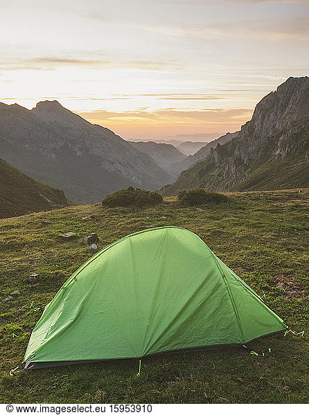 Spain  Cantabria  Green tent pitched in Picos de Europa at dawn