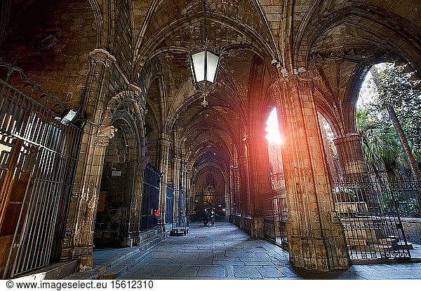 Spain  Catalonia  Barcelona  Barcelona's Cathedral