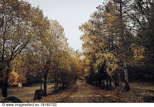 Spain  Catalonia  Empty mountain road in autumn