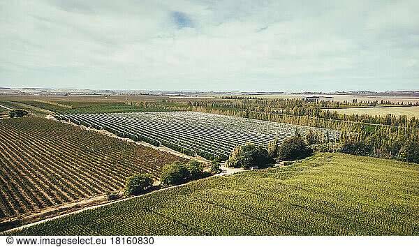 Spain  Catalonia  Lleida  Aerial view of countryside fields