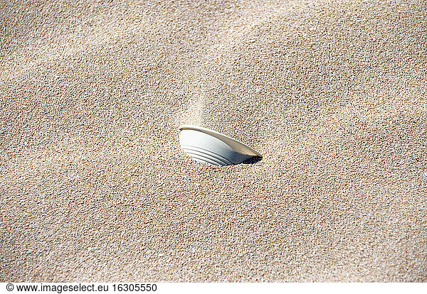 Spain  Fuerteventura  Corralejo  Parque Natural de Corralejo  plastic cup in the sand