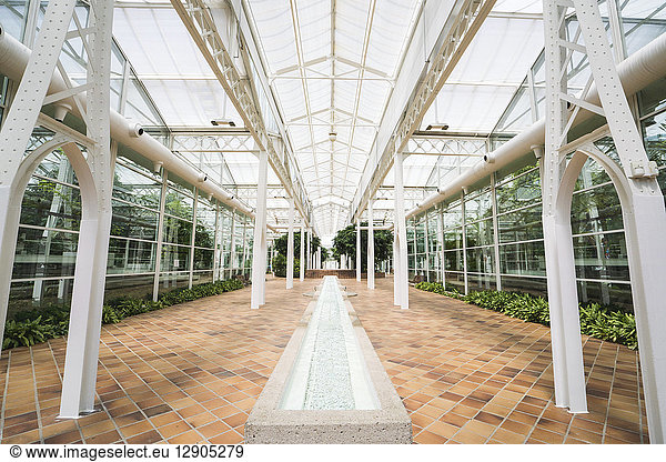 Spain  Madrid  Interior of greenhouse