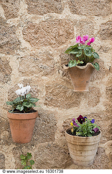 Spain  Majorca  Valldemossa  clay hanging basket on facade