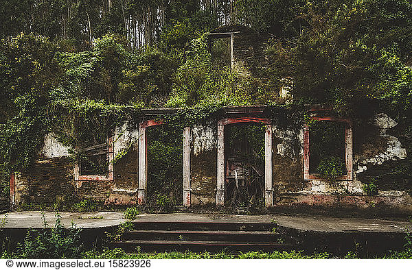 Spain  Province of A Coruna  San Saturnino  Abandoned house in forest
