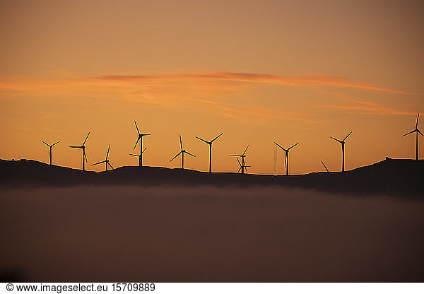 Spain  Province of Cadiz  Tarifa  Silhouettes of wind turbines standing against moody sky at foggy dawn