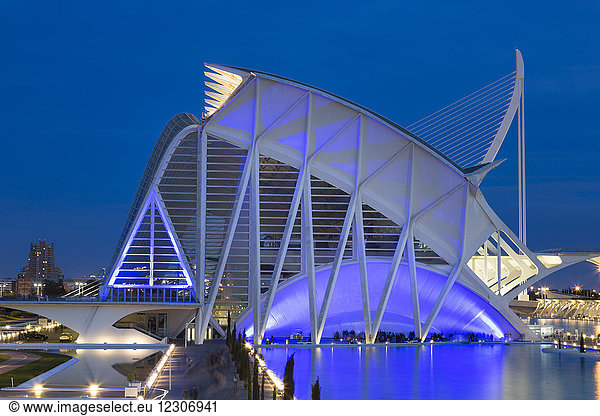 Spain  Valencia  City of Arts and Sciences  El Museu de les Ciencies Prinipe Felipe at blue hour