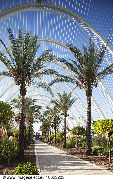 Spain  Valencia  Ciudad de las Artes y de las Ciencias  view to palm garden