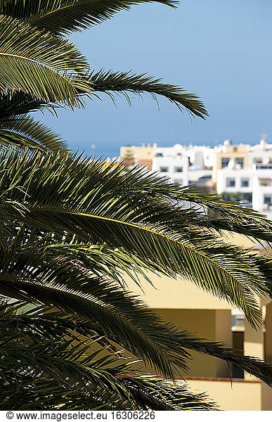 Spanien, Fuerteventura, Morro Jable, Appartementanlage