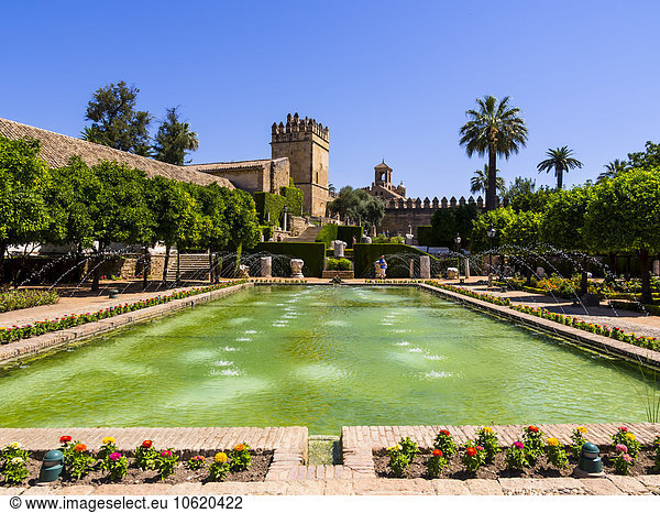 Spanien  Andalusien  Alcazar de los Reyes Cristianos  Garten und Pool