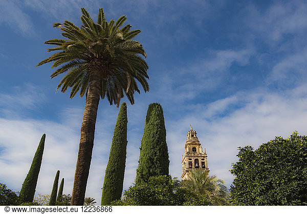 Spanien Andalusien Cordoba Minarett der Großen Moschee von Córdoba hinter Bäumen