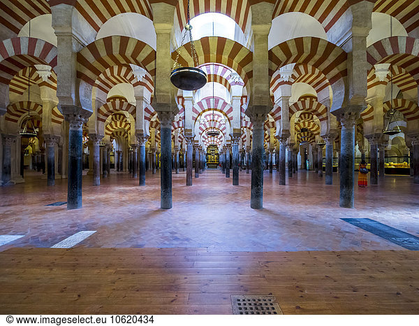 Spanien  Andalusien  Cordoba  Moschee-Kathedrale  Säulensaal