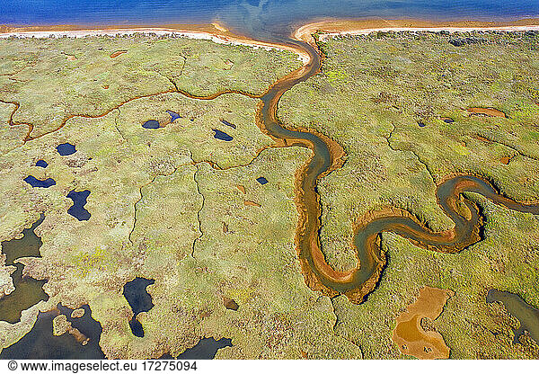 Spanien  Andalusien  Luftaufnahme des grünen Sumpfes im Naturschutzgebiet Marismas del Odiel