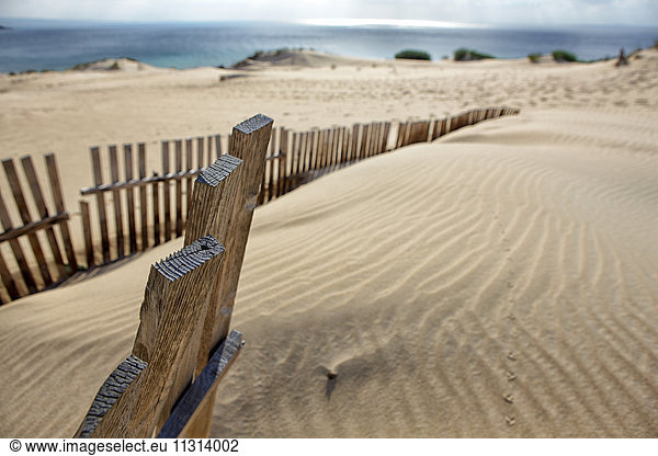 Spanien  Andalusien  Punta Paloma Sanddünen bei Tarifa